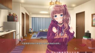 【汉化H游戏美少女游戏下载/VIP】家有妹妹汉化版【1.7G】