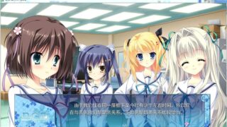 【汉化H游戏美少女游戏下载/磁力/VIP】D.C.III.R_X 汉化版[3.51G]