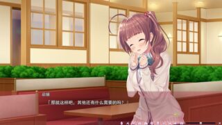 【汉化H游戏美少女游戏下载/VIP】家有妹妹汉化版【1.7G】