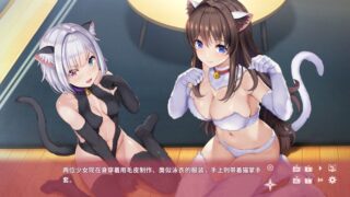 【汉化H游戏美少女游戏下载/VIP】NinNinDays2中文版【1.2G】