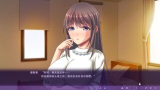 【汉化H游戏美少女游戏下载/VIP】家“贞”教师～老师的奖励真刺激中文版【830M】