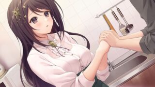 【汉化H游戏美少女游戏下载/VIP】COSPLAY LOVE! : Enchanted princess中文版【600M】