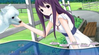 【汉化H游戏美少女游戏下载/磁力/VIP】Paca Plus（草泥马女友/草泥马相随/我的女友是羊驼/坑娘爱相随） 汉化版