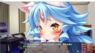 【汉化H游戏美少女游戏下载/磁力/VIP】后宫之夜/ハーレムナイト ～ふたりのネコとお子様作り！？～ 中文版【1.2G】