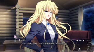 【汉化H游戏美少女游戏下载/磁力/VIP】灰色的残光 汉化版【610M】