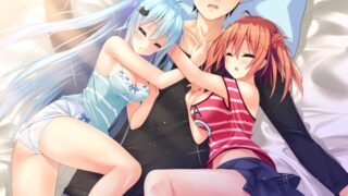 【汉化H游戏美少女游戏下载/VIP】我可爱的双子妹妹 中文版【1.1G】