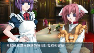 【汉化H游戏美少女游戏下载/磁力/VIP】梦幻廻廊 汉化版【560M】