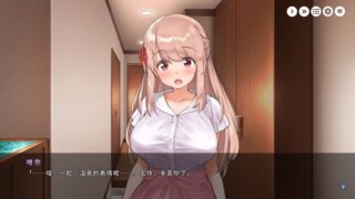 【汉化H游戏美少女游戏下载/磁力/VIP】和姐姐一起。～唯奈的甜蜜全肯定～ 中文版【414M】