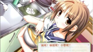 【汉化H游戏美少女游戏下载/磁力/VIP】四娘物语/四叶草 汉化版【1.3G】