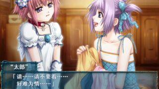 【汉化H游戏美少女游戏下载/磁力/VIP】梦幻廻廊 汉化版【560M】