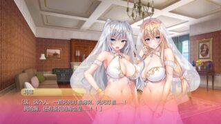 【汉化H游戏美少女游戏下载/磁力/VIP】ROLEPLAYER：小粥姐妹的黏膜游戏！ 汉化版【5.1G】