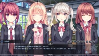 【汉化H游戏美少女游戏下载/磁力/VIP】White Wings 白色之翼 官方中文版【2.1G】