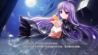 【汉化H游戏美少女游戏下载/磁力/VIP】紫罗兰RE 中文版【1.3G】