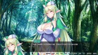 【汉化H游戏美少女游戏下载/磁力/VIP】异世界王国淫乱后宫 中文版【2.2G】