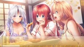 【汉化H游戏美少女游戏下载/磁力/VIP】甜蜜夏日アマナツ机翻汉化版【4.2G】