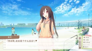 【汉化H游戏美少女游戏下载/磁力/VIP】现在立刻就想对哥哥说我是妹妹！V0.9 汉化免安装版