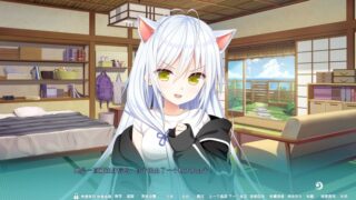 【汉化H游戏美少女游戏下载/磁力/VIP】恋爱成双AS1 正式1.0 汉化版【1.4G】