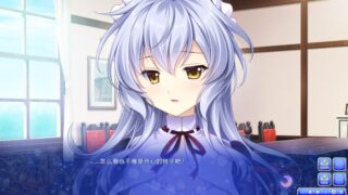 【汉化H游戏美少女游戏下载/磁力/VIP】少女缔结的月之光辉 汉化版【2.88G】