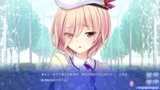 【汉化H游戏美少女游戏下载/磁力/VIP】少女缔结的月之光辉 汉化版【2.88G】