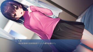 【汉化H游戏美少女游戏下载/VIP】お兄ちゃん、手伝って！～夜の花嫁修業を頼まれて…～ 机翻中文版