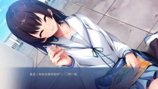 【汉化H游戏美少女游戏下载/VIP】お兄ちゃん、手伝って！～夜の花嫁修業を頼まれて…～ 机翻中文版