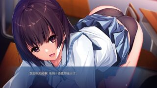 【汉化H游戏美少女游戏下载/VIP】お兄ちゃん、手伝って！～夜の花嫁修業を頼まれて…～ 机翻中文版