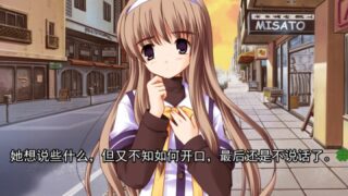 【汉化h游戏美少女游戏下载|VIP】四叶之心（Clover Heart's） 汉化版【1.8G】