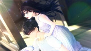 【汉化h游戏美少女游戏下载|VIP】痴情哥哥与病弱妹妹的乡间生活 中文版【2.6G】