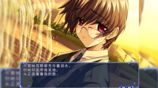 【汉化h游戏美少女游戏下载|VIP】邪夜将至 中文版【1.4G】