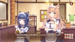 【汉化h游戏美少女游戏下载|VIP】NEKOPARA After（猫娘乐园 After）中文版【3.4G】