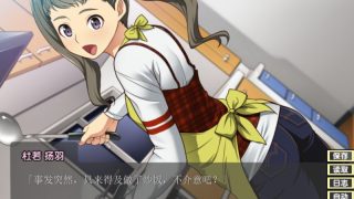 【汉化h游戏美少女游戏下载|VIP】我们逐渐学会了禁忌的游戏~风云相讨学园Flat 2 汉化版【1G】