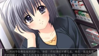 【汉化h游戏美少女游戏下载|VIP】我们没有翅膀 汉化版【3.3G】