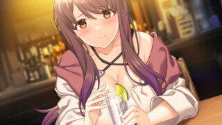 【汉化h游戏美少女游戏下载|VIP】黄昏时分的变形者 AI翻译版【3.9G】