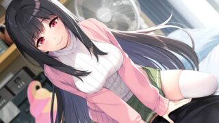 【汉化h游戏美少女游戏下载|VIP】莉露卡将夜晚染上层层色彩 AI翻译版【3.6G】