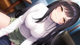 【汉化h游戏美少女游戏下载|VIP】莉露卡将夜晚染上层层色彩 AI翻译版【3.6G】