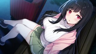 【汉化h游戏美少女游戏下载|VIP】莉露卡将夜晚染上层层色彩 AI翻译版【3.6G】