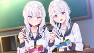 【汉化h游戏美少女游戏下载|VIP】双子的恋情难以琢磨 AI翻译版【2.3G】